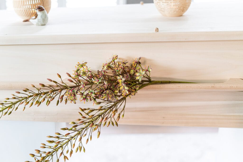 Blankhouten begrafeniskist Rita Feld Hoorn