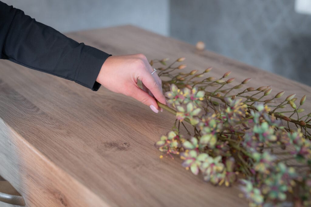 Goedkope doodskist Rita Feld Hoorn